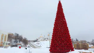 Сегодня нижнекамцев ждет открытие трех елок