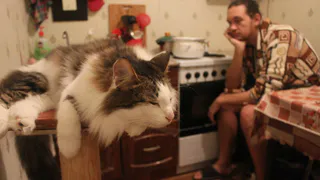 О чем говорит Рязань