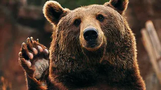 Приметы и запреты на 16 марта: умываемся серебряной водой...