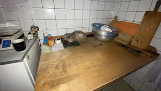 Рязанка пожаловалась на жуткие условия в детском лагере в Кораблинском районе