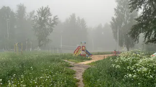 В первую неделю осени Челябинскую область ждут температурные колебания