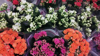 В рязанском цветочном магазине камеры засняли кражу