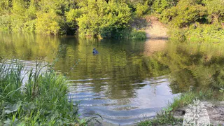 В Сердобском районе утонула 11-летняя девочка