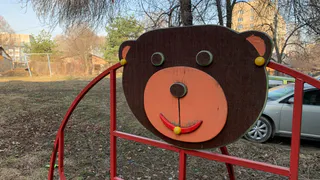 Прибитые игрушки и странное творчество из шин. Подборка пугающих детских площадок Рязани