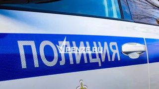 Волонтеры ищут 49-летнего пензенца, пропавшего в конце 2024 года