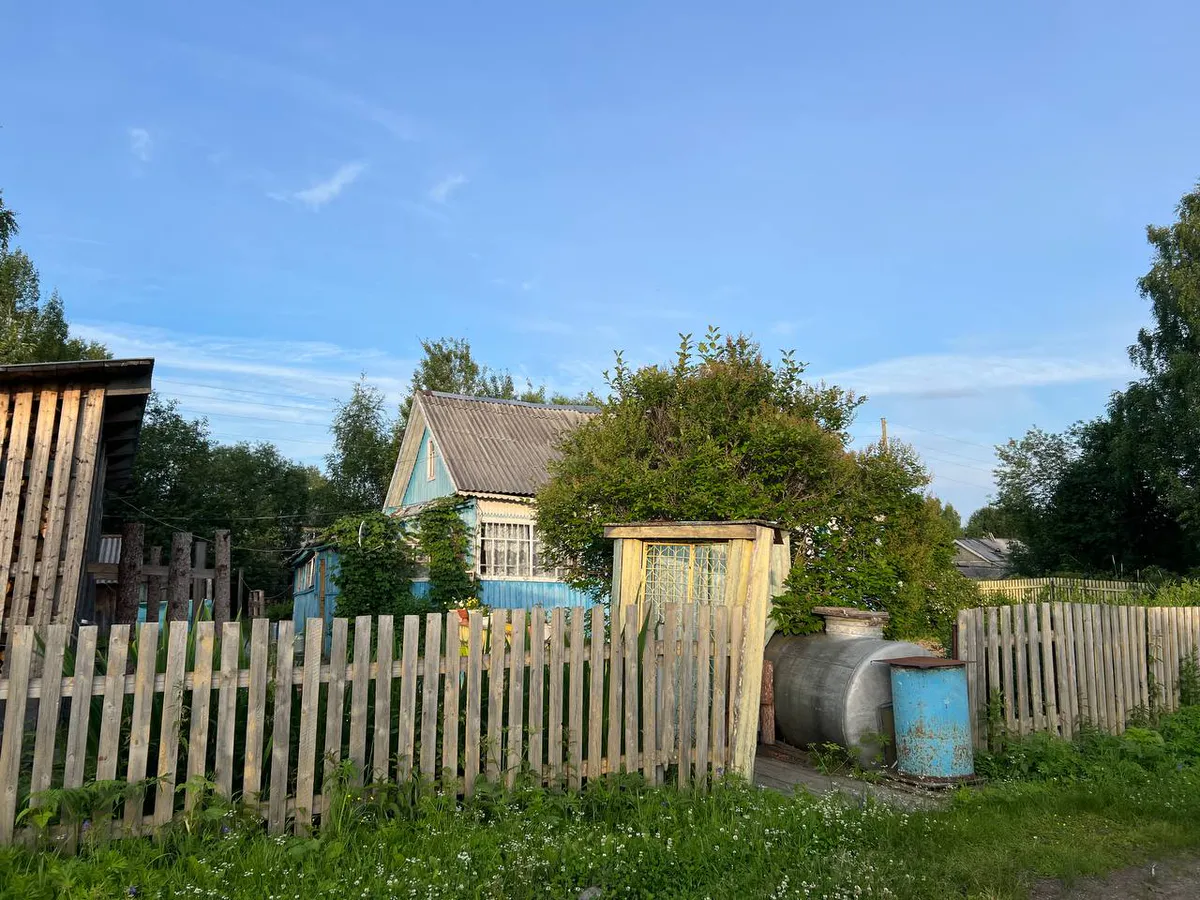 Дачники против председателя: как законно требовать отчетность в СНТ и куда жаловаться на нарушения