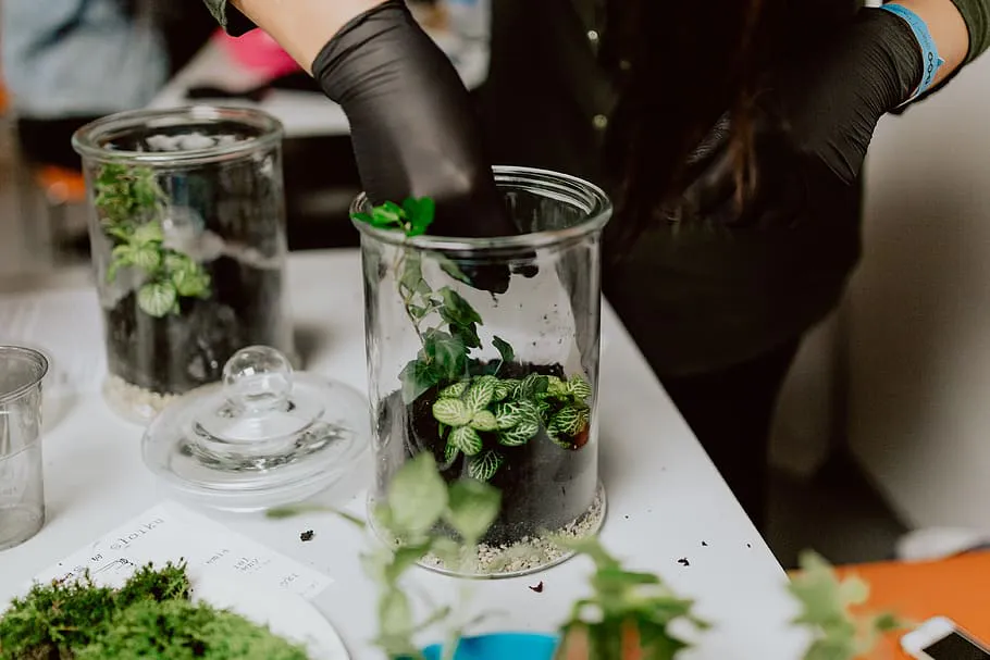 Эффективные методы подкормки для ваших цветов