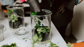 Эффективные методы подкормки для ваших цветов