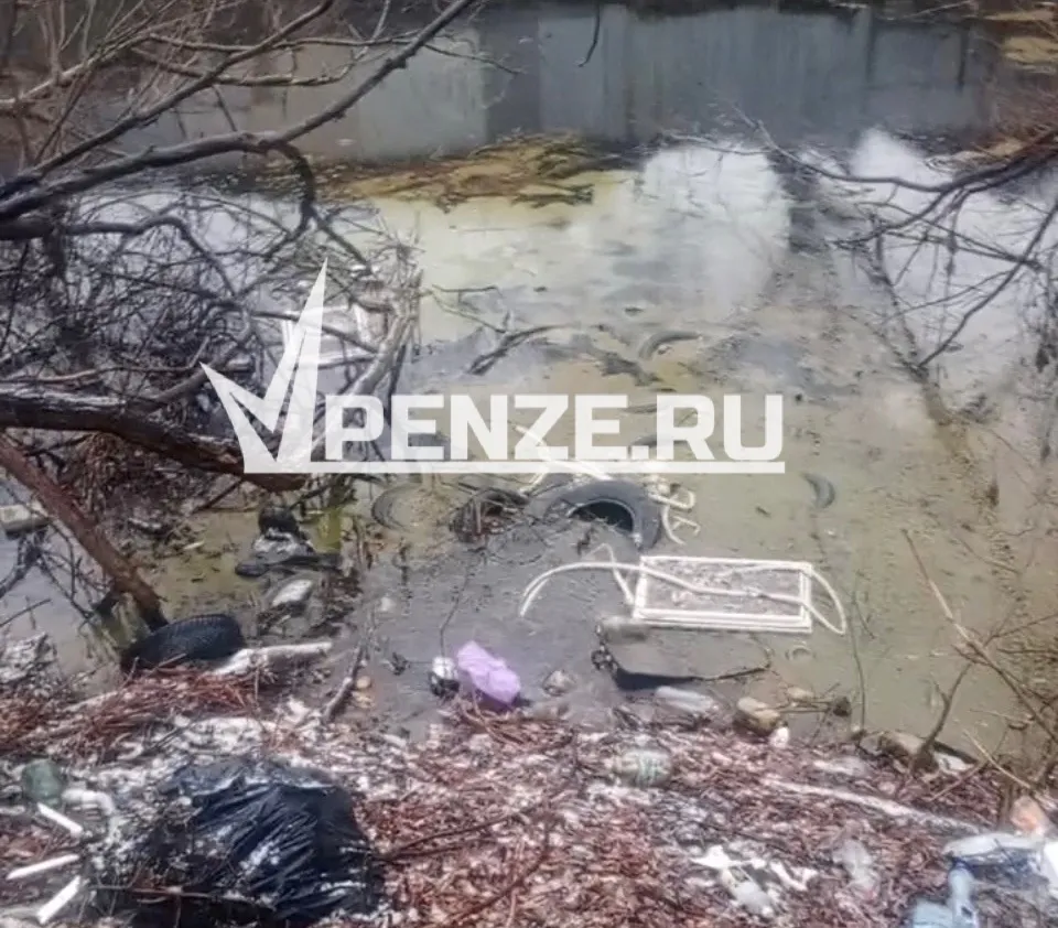 Пензенец обнаружил две гигантские свалки шин. Их там сотни!