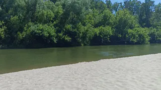 Глава СК России поручил доложить о ситуации с загрязнением рек в Пензе