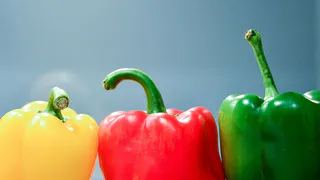 Перцы после высадки: поливаю этим настоем и раздаю соседям богатый урожай