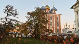 Голландский художник Корнелий де Бруин описал путешествие по Рязанской земле в 1703 году