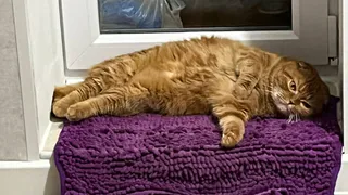 Роспотребнадзор Татарстана: как восстановить режим после праздников