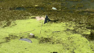 Смерть на Голенчинской: в убийстве двух мужчин подозреваются подростки