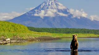 В Рязани за 12 лет на 21% выросло число патриотов России