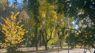 13-14 сентября Сыктывкар украшает осенний сезон: спорт, творчество и праздник микрорайонов