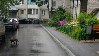 В регионе на благоустройство дворов в 2025 году было направлено 1,5 миллиарда рублей