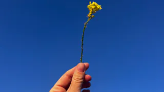 Май нагрянет раньше времени: какие регионы России накроет 30-градусная жара