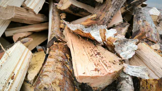 В Коми раскрыли схему незаконного экспорта леса в Турцию и Азербайджан