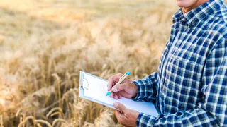 В регионе откроют доступ к простаивающим землям для местных аграриев