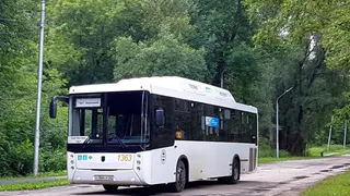 В Рязани на лето запустили автобус до Орехового озера