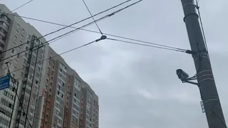 23 октября в Рязанской области ожидается дождь и до +14