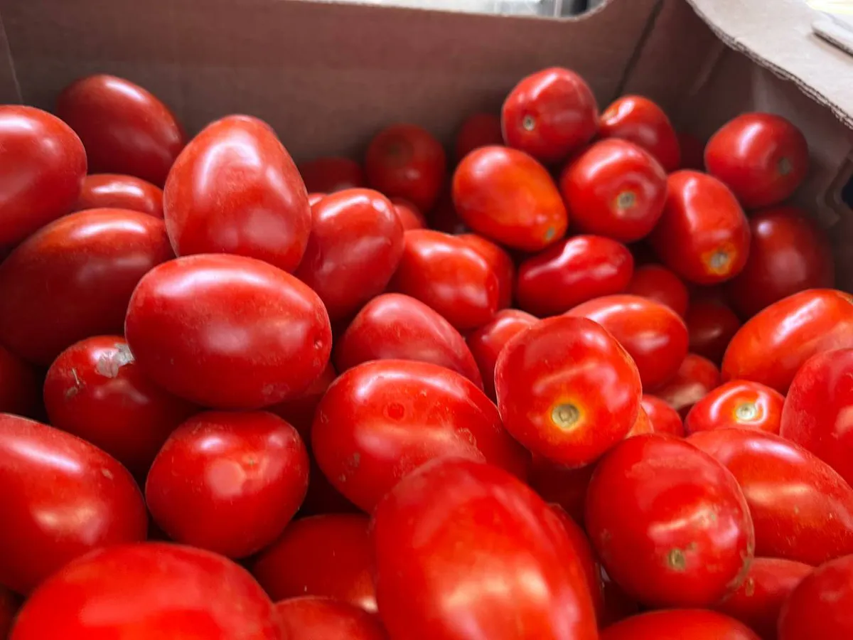 Хитрые дачники посыпают рассаду томатов мукой и бед не знают: вот зачем они это делают — полезный совет эксперта