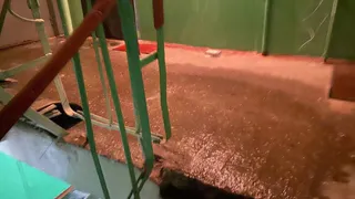 Жители Рязани третий год живут под протекающей крышей в доме на улице Горького