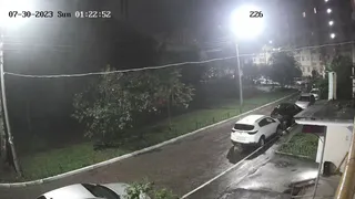 Ночью 30 июля в Дашково-Песочне собаки изгрызли автомобиль