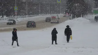 "Засыплет снегом к концу недели": Вильфанд рассказал о приближающейся зиме
