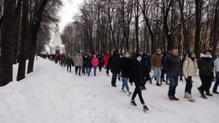 “Молодежь с трудом представляет нелегкое положение страны”: Николай Любимов прокомментировал несанкционированную акцию 23 января