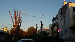 Жители Рязани пожаловались на мусор оставленный рабочими после опиловки деревьев