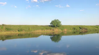 Ура, лето! В четверг в Рязани потеплеет до +22 градусов