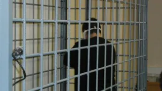 Брянский педофил, изнасиловавший собственного брата, осуждён на 12 лет