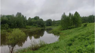 В ходе проверок прокуратура выявила нарушения в земельной сделке в Александрове