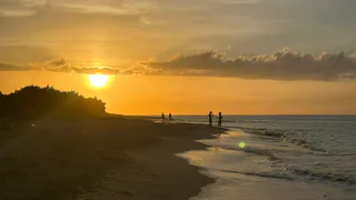 Теперь строго запрещено: туристам запретили купаться в Черном море