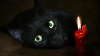 Суеверны ли нижнекамцы?