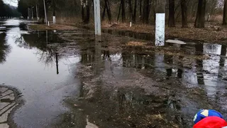 Вода повсюду. Половодье заливает дорожки в лесопарке
