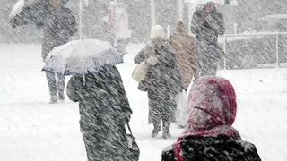 «В феврале начнется климатический ужас». Синоптики дали новый прогноз на последний месяц зимы