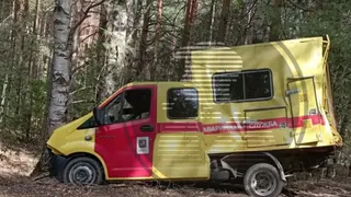 В Рязанском районе машина аварийной службы врезалась в дерево