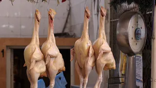 Казахстан забраковал заражённое брянское мясо