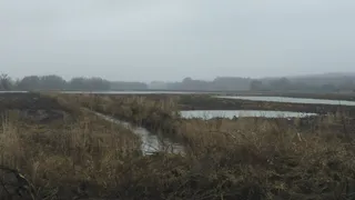 Рязанцам напомнили алгоритм действий при паводке