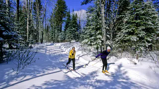 В Рязани появится 6 лыжных трасс