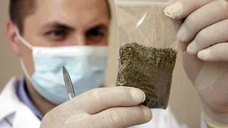 Татарстанские наркополицейские изъяли у ОПГ наркотики на 24 млн рублей