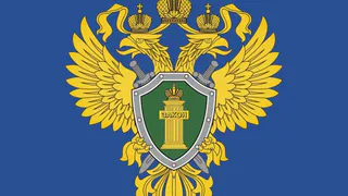 Жители Брянщины стали чаще обращаться в прокуратуру