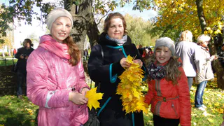 Как с помощью проволоки, плоскогубцев и пучка  осенних листьев избавиться от депрессии