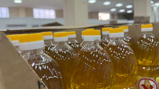 От масла - только янтарный цвет: Роскачество назвало худшие марки растительного масла - теперь они в черном списке