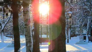 В Чувашию придет сибирский антициклон, принеся морозы и прояснение