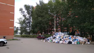 Администрация: горы мусора на Михайловском шоссе уберут к вечеру