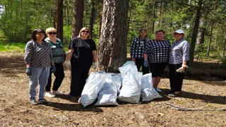 В лесу под Собинкой прошла экологическая акция «Чистый лес»